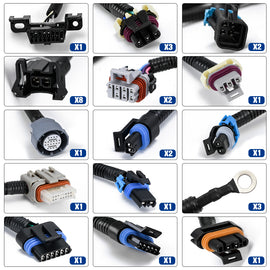 03-07 GM Vortec LS DBW Standalone Wiring Harness with 4L60E Transmission Connectors