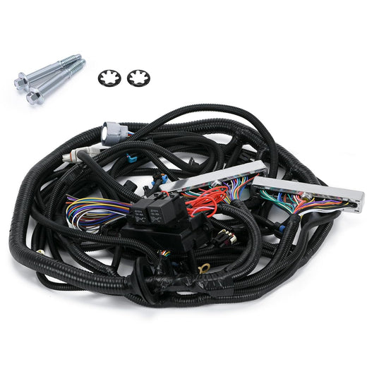 4L60E DBW Standalone Wiring Harness 6.0 L for GM LS1 Vortec Engine 4.8 5.3