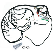 4L60E DBW Standalone Wiring Harness 6.0 L for GM LS1 Vortec Engine 4.8 5.3 - view 3