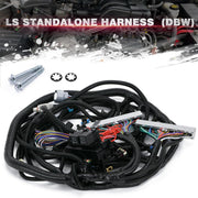 4L60E DBW Standalone Wiring Harness 6.0 L for GM LS1 Vortec Engine 4.8 5.3 - view 4