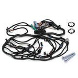 Drive by Wire DBW LS Stand Alone Harness with Transmission Connectors
