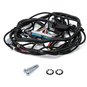 1997-2006 DBC LS1 STAND ALONE HARNESS 4L60E 4.8 5.3 6.0 VORTEC DRIVE BY CABLE
