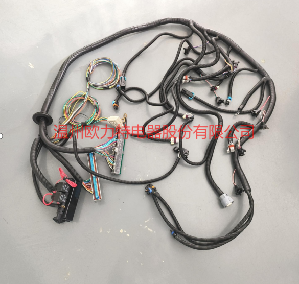 LS Swap Standalone Wiring Harness 97-04 LS1 Drive-By-Wire DBW 4L60E Trans