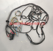 LS Swap Standalone Wiring Harness 97-04 LS1 Drive-By-Wire DBW 4L60E Trans