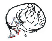 LS T56 DBC Full Car Wiring Harness 1997-2006 4.8 5.3 5.7 6.0L(1200)