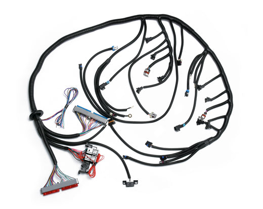 LS T56 DBC Full Car Wiring Harness 1997-2006 4.8 5.3 5.7 6.0L(1200)