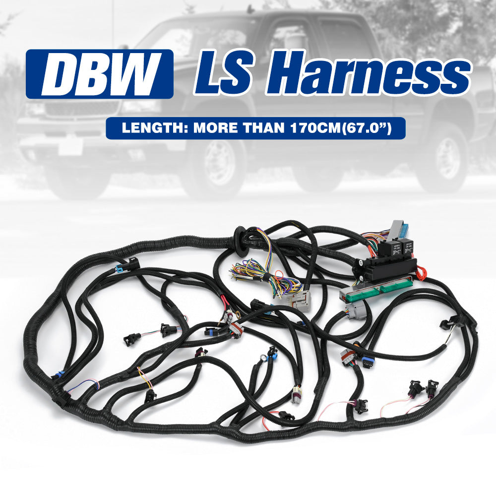 Drive by Wire DBW LS Stand Alone Harness with Transmission Connectors